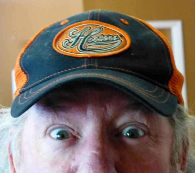 969179_519119084818614_951160043_n