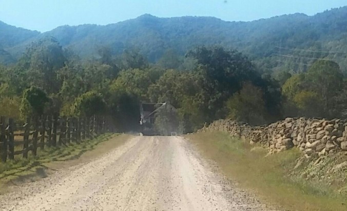 20161006_155743_hdr-1-1-1