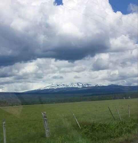 fb_img_1463896029300-1