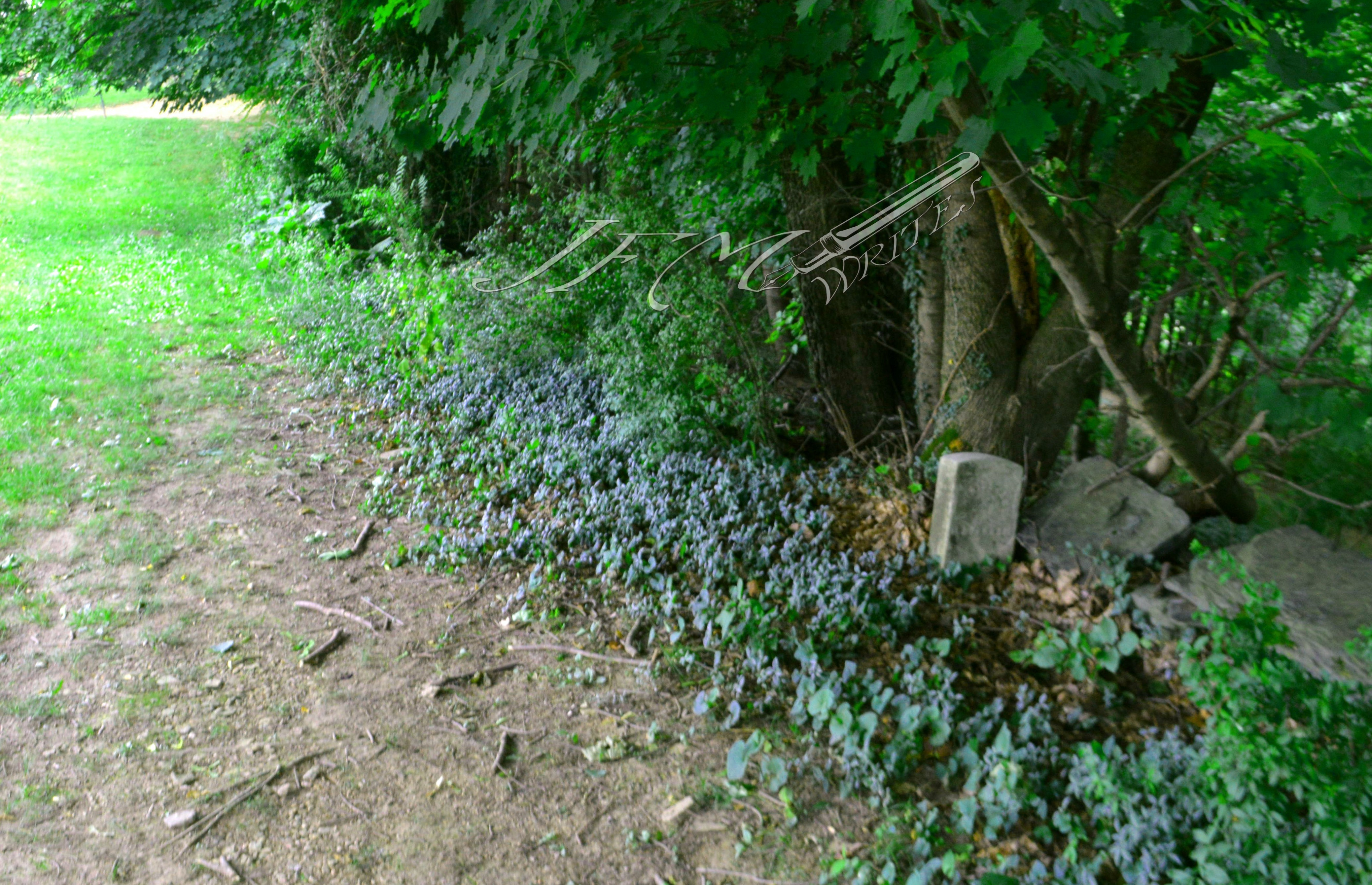 Jefferson Rock 4 CEWM