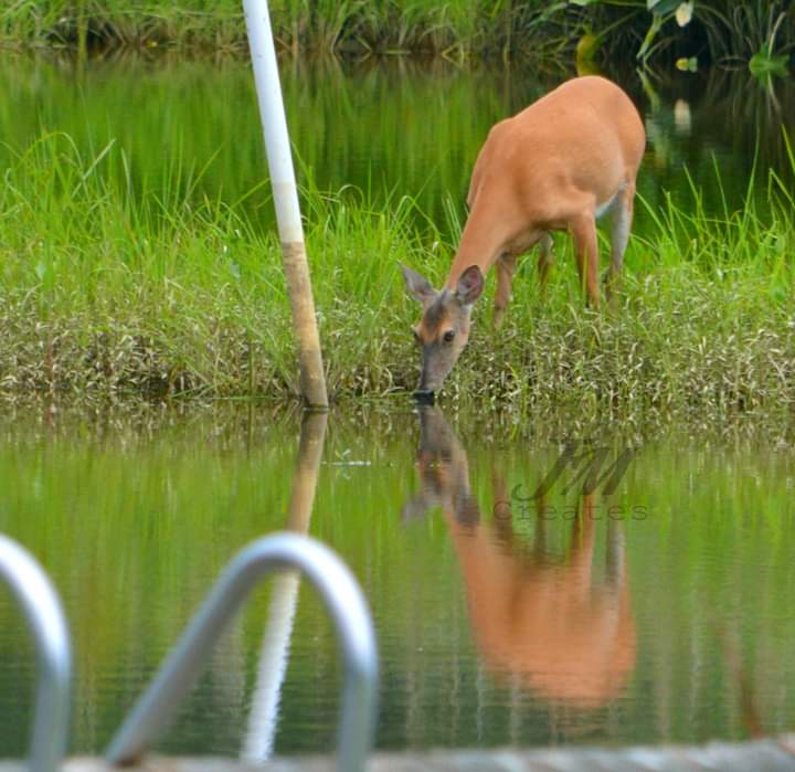 FB_IMG_1563041274019