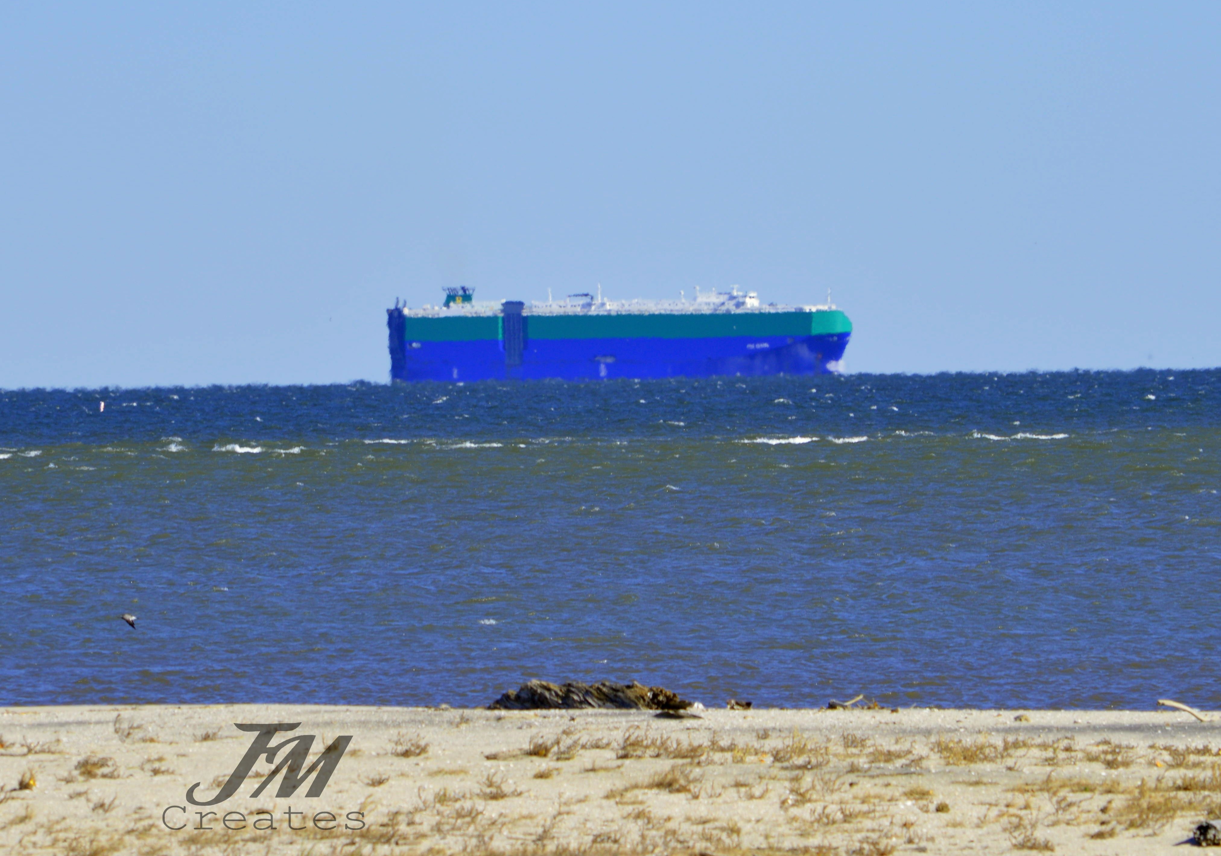 Flag Ponds Nature Park 7 CEWM